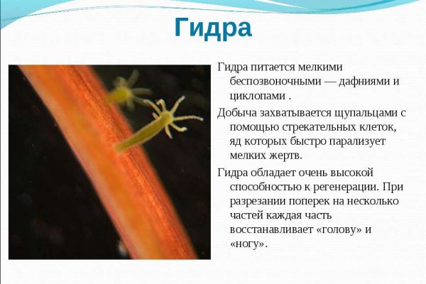 Kra40.at