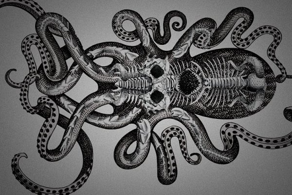 Kraken официальные зеркала